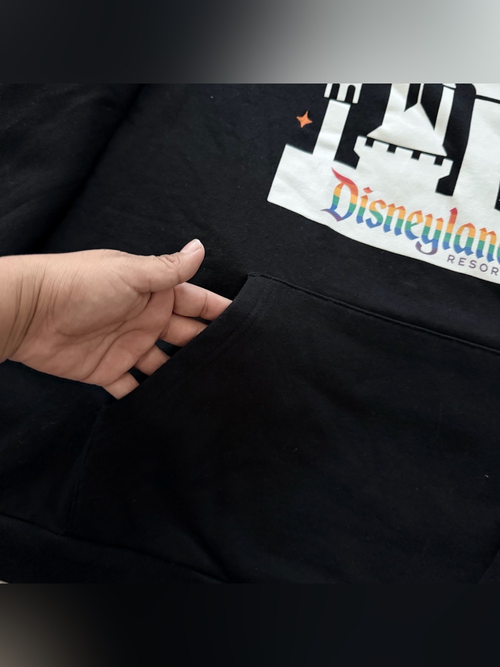 Disneyland Resort Castle Disney Pride Collection hoodie - Picture 4 of 5